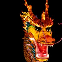 European sovereignty: the China factor post image