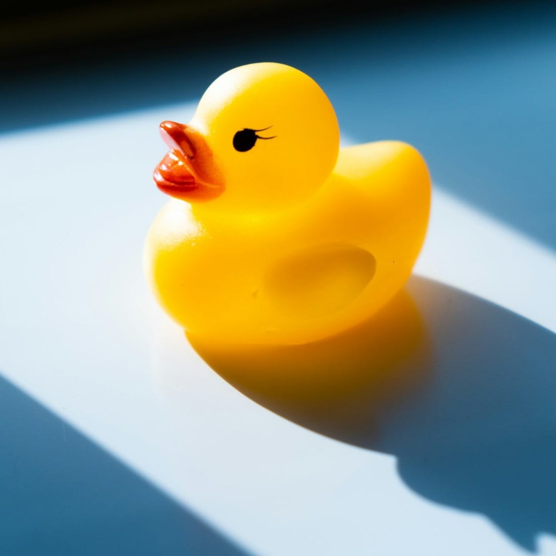 Is the DMA a chicken or a duck? Why the DMA predestinates European companies and consumers to lose